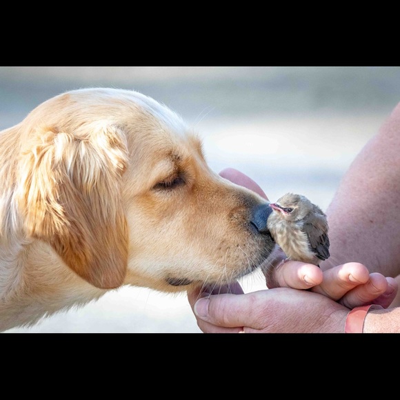 Meet your Posher, Lori - Picture 1 of 2